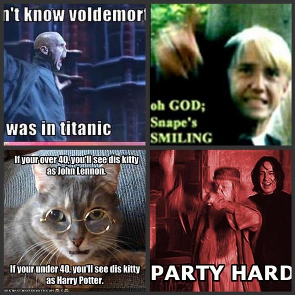 silly harry potter meme 4