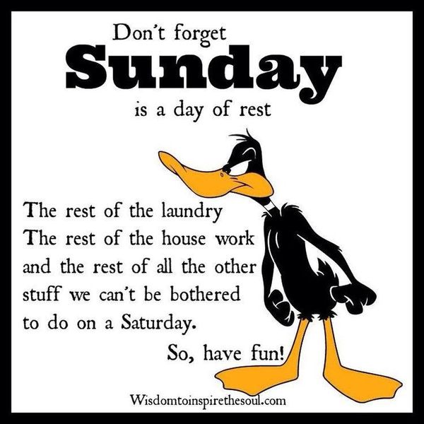 Sunday Memes Funny Sunday Night Pictures Images
