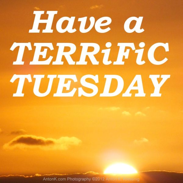 terrific tuesday meme