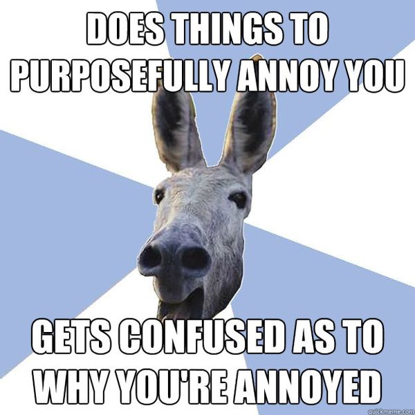 Does thing to purposefully annoy you gets confused as to why you`re annoyed