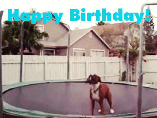 Animal Happy Birthday Gif Pictures Photos And Images For Facebook - Riset