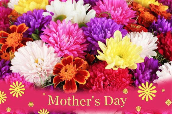 Beautiful Photos of Flowers for Mothers Day 3