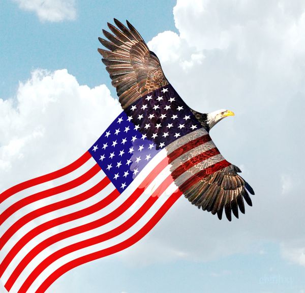 Cool Pictures of American Flag and Eagle 2