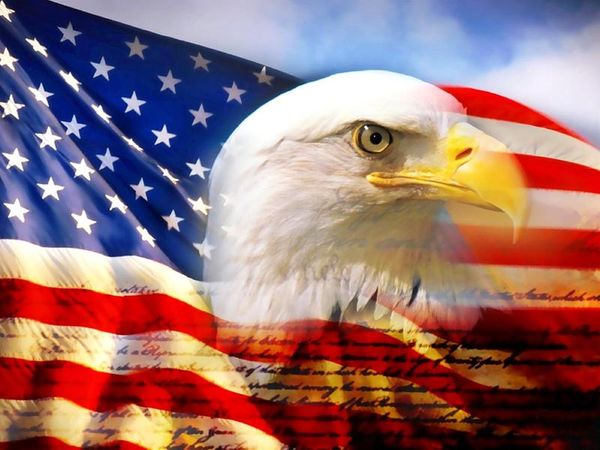 Cool Pictures of American Flag and Eagle 3