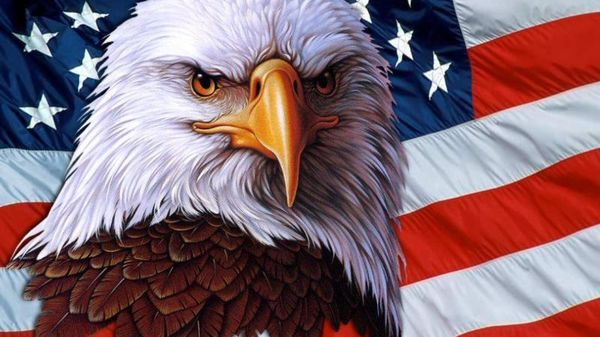 Cool Pictures of American Flag and Eagle 4