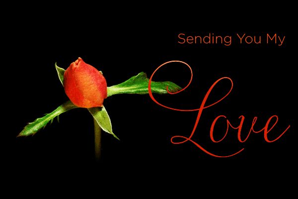 Free Gif Images Appropriate for Happy Valentines Day 4