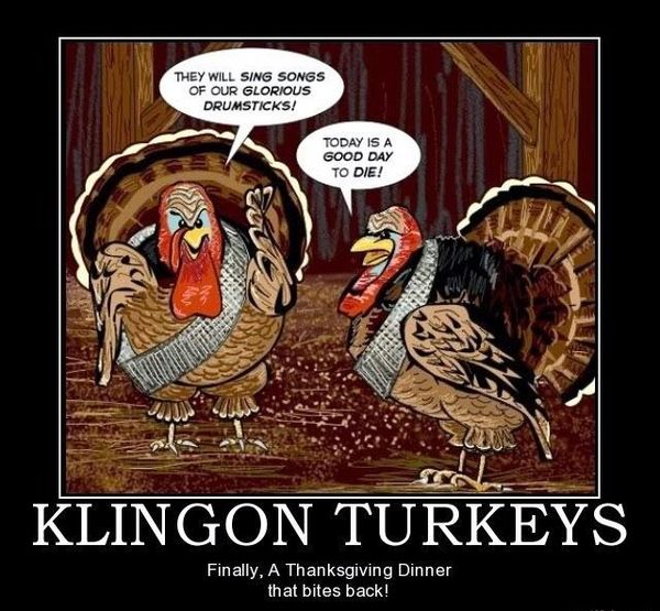 Funny-Pictures-for-Happy-Thanksgiving-3 width=