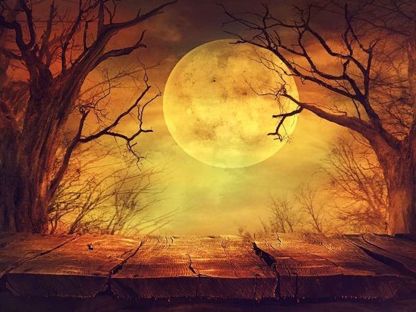 Spooky-Halloween-Images-for-Background-1 width=