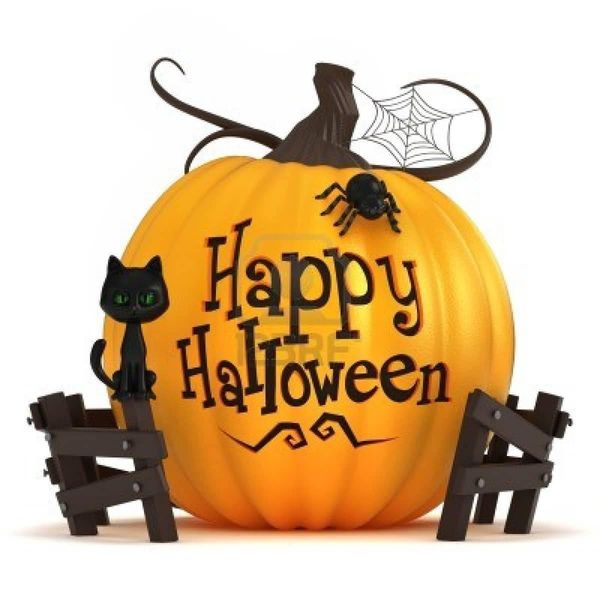 Spooky-Photos-with-Halloween-Cat-2 width=