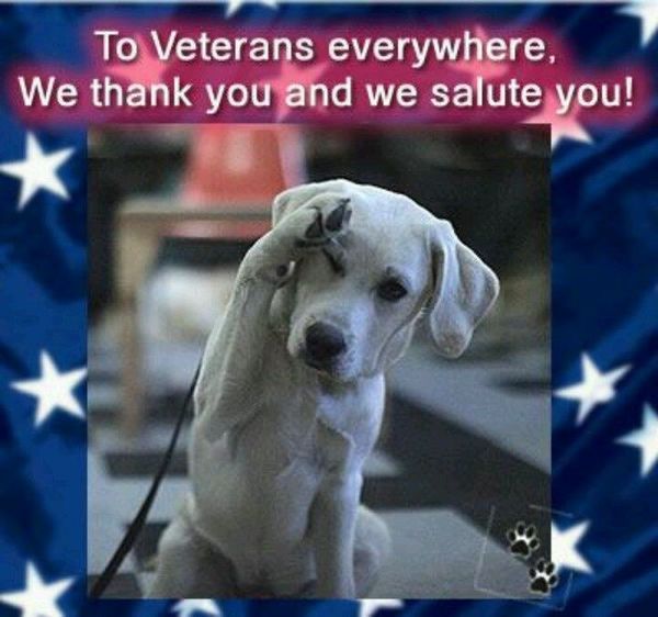 Symbolical Pictures with Dogs for Veterans Day 1