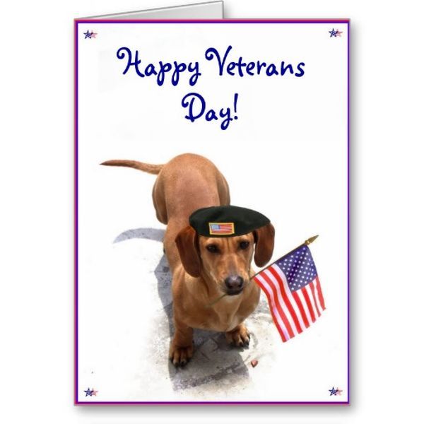 Symbolical Pictures with Dogs for Veterans Day 2