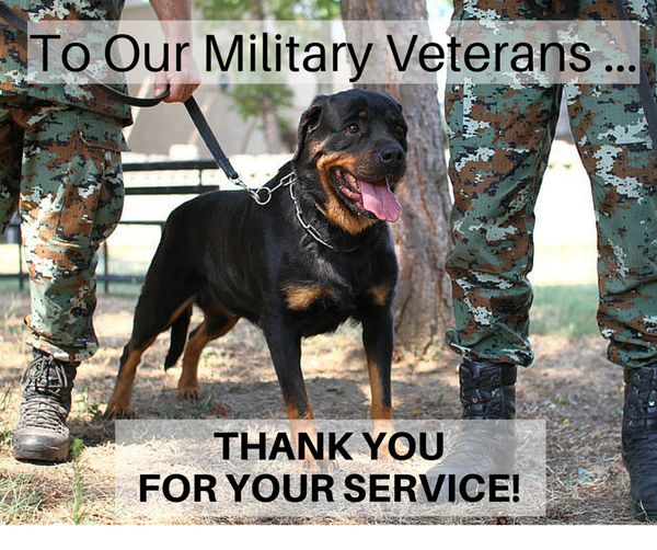 Symbolical Pictures with Dogs for Veterans Day 3