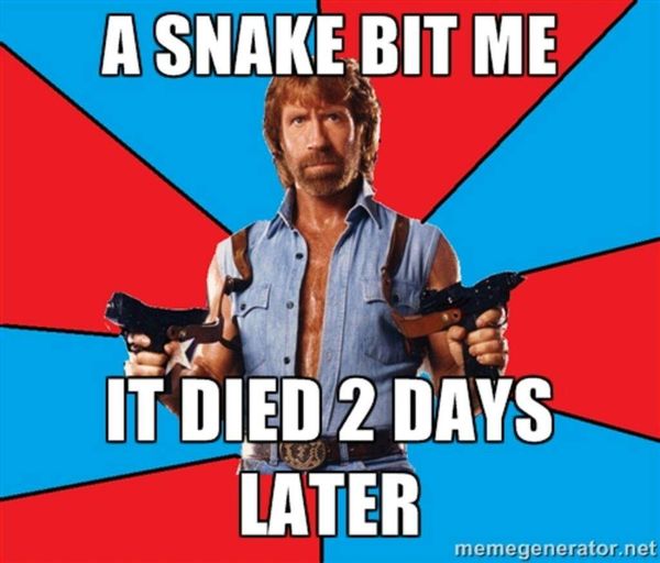 Chuck Norris Meme 3