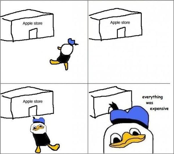Dolan 3