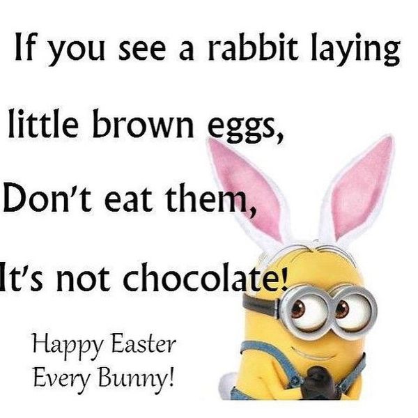 Funny Pictures of Easter for Everybody 1