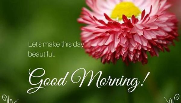 Cute images of good morning wishes 1