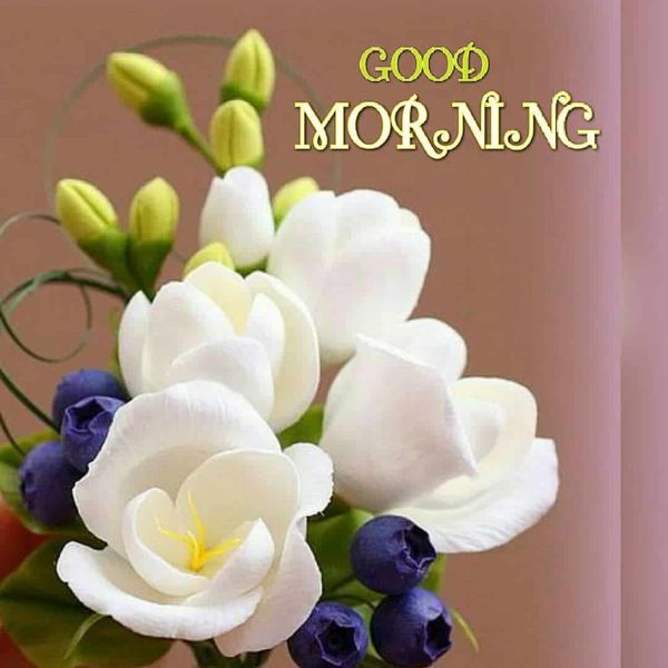 Good morning flowers images 1