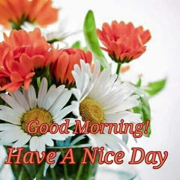 Good morning flowers images 2