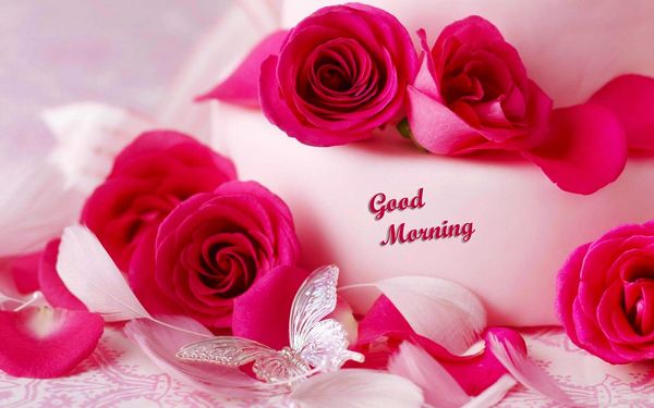 Good morning flowers images 4