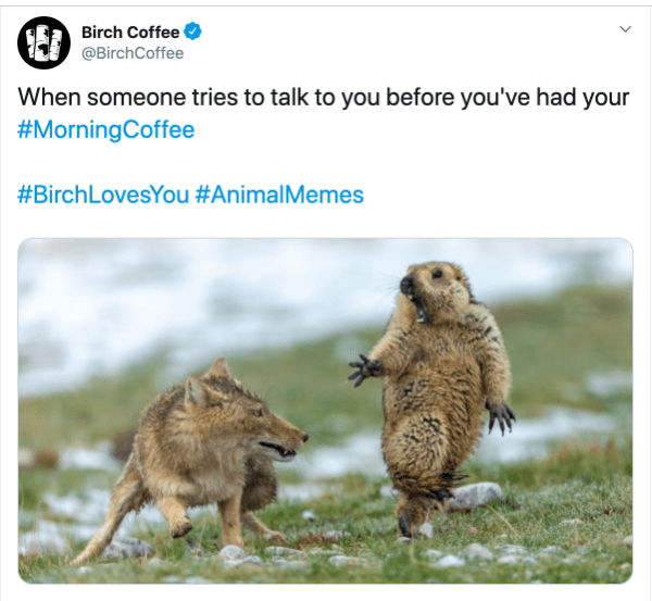 Adorable Monday Animal Memes 4