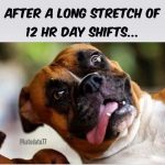 60 Work Memes To Get You Through The Day