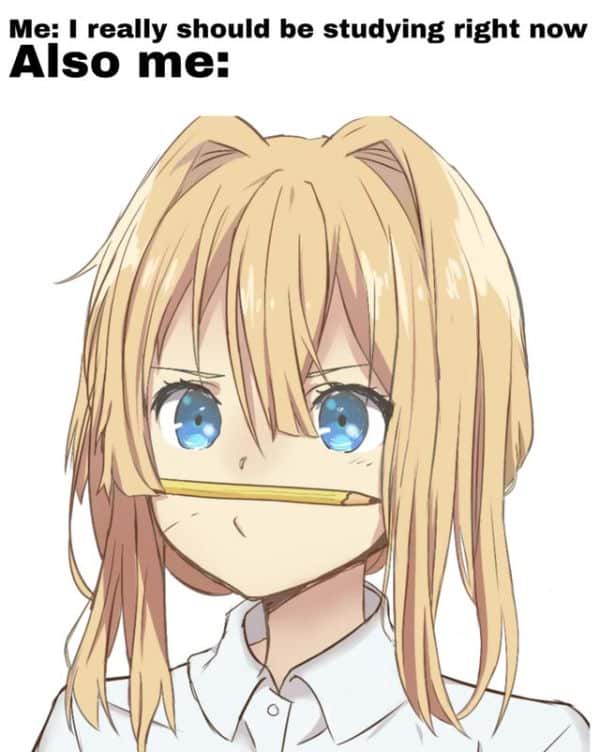 Stupid Anime Memes 6