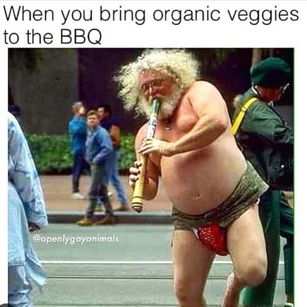 Fresh Vegan BBQ Meme Pics 6