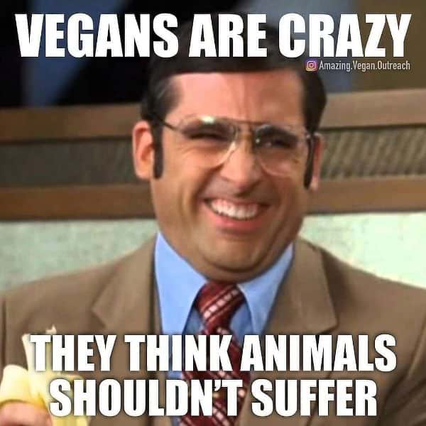 Funny Anti-Vegan Memes 1