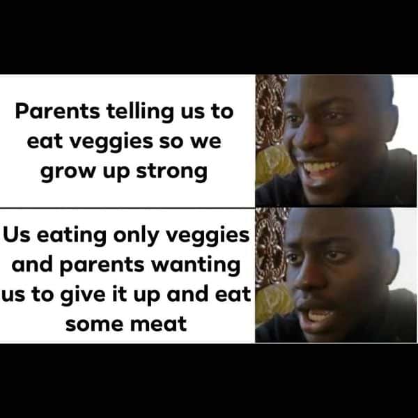 Funny Anti-Vegan Memes 4