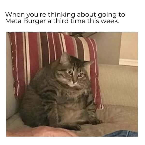 Funny Vegan Burger Meme Pictures 1