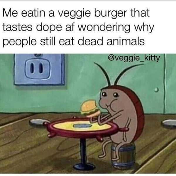 Funny Vegan Burger Meme Pictures 2