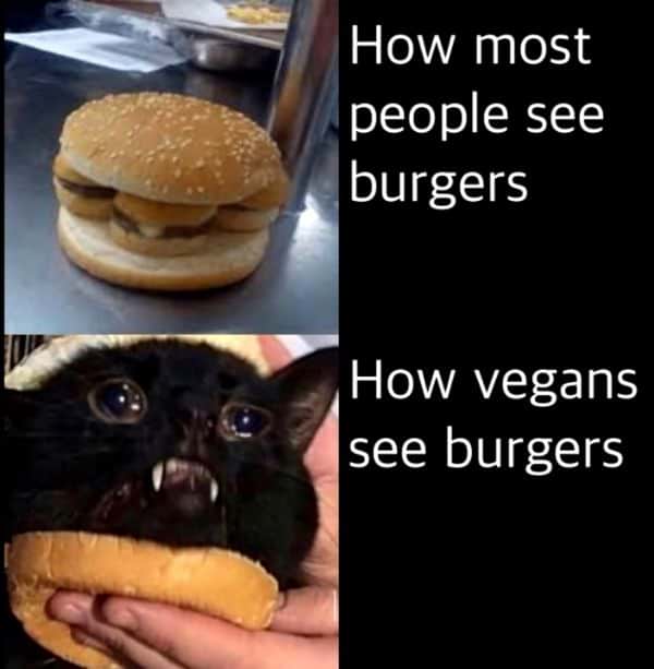 Funny Vegan Burger Meme Pictures 6