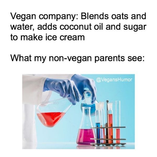 Funny Vegan Memes 2