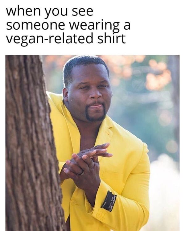 Funny Vegan Memes 3