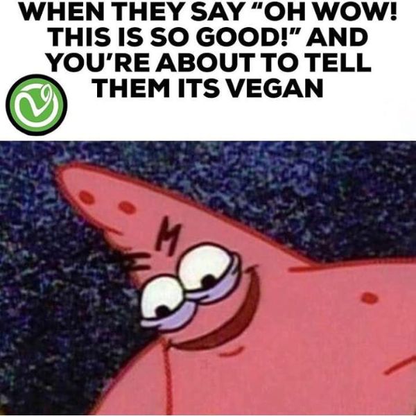Funny Vegan Memes 6
