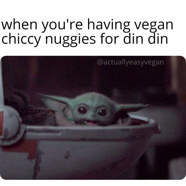 Funny Vegan Memes 7
