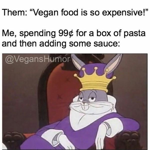 Funny Vegan Memes 8