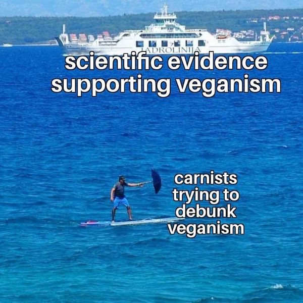 Funny Vegetarian Memes 1