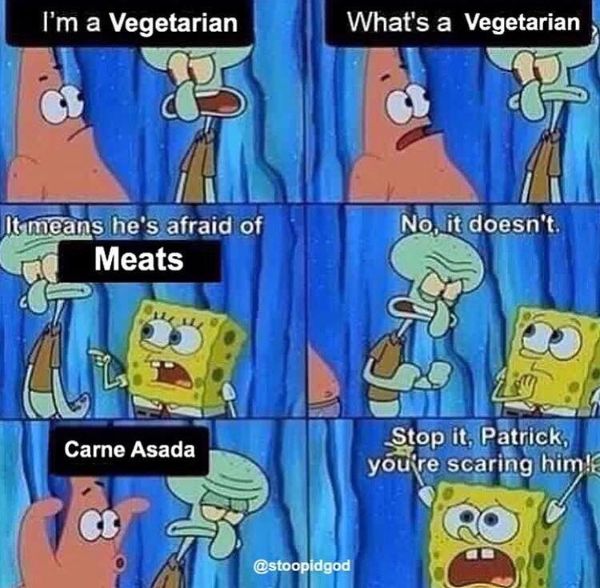 Funny Vegetarian Memes 3