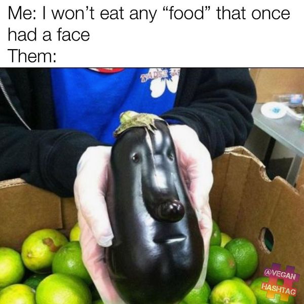 Hilarious Vegan Food Meme Images 2