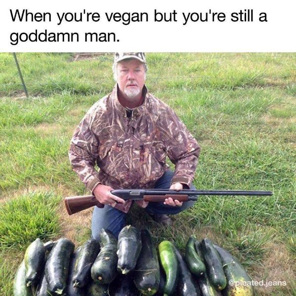 Hilarious Vegan Food Meme Images 5