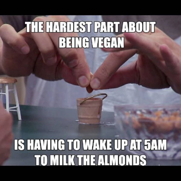 Hilarious Vegan Food Meme Images 8