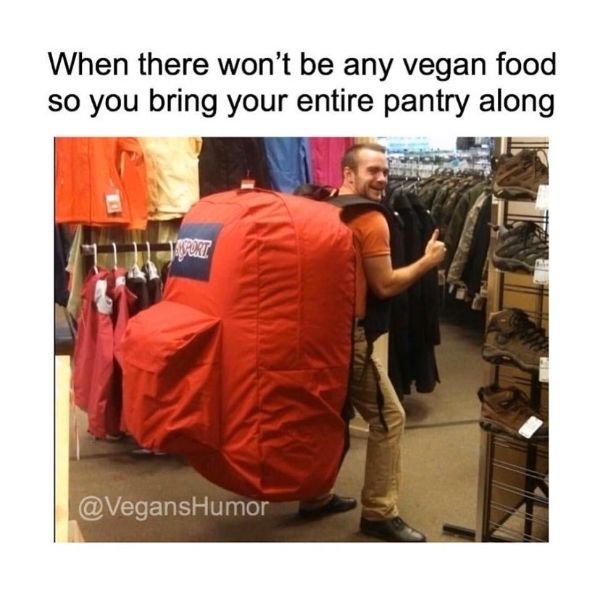 Hilarious Vegan Food Meme Images 9