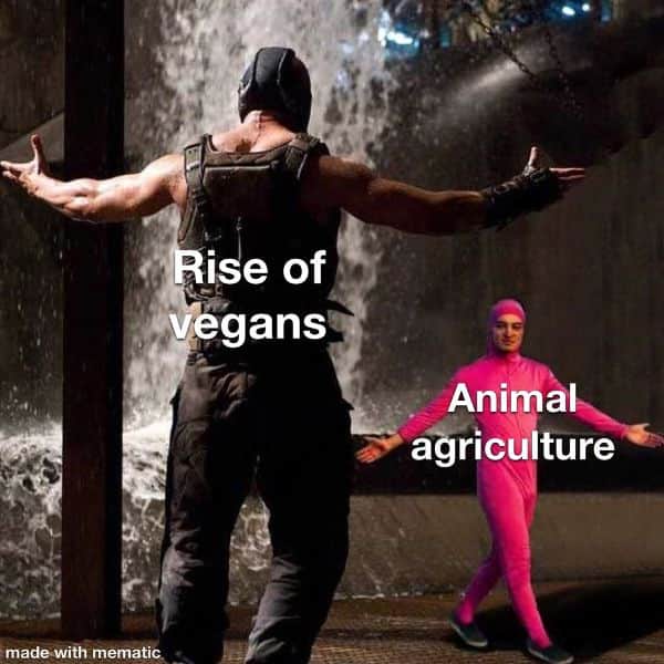 Inspirational I'm a Vegan Meme Pictures 1