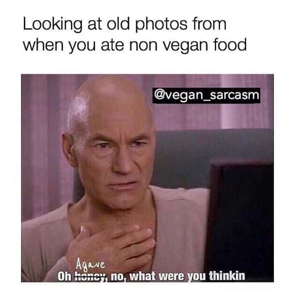 Inspirational I'm a Vegan Meme Pictures 6