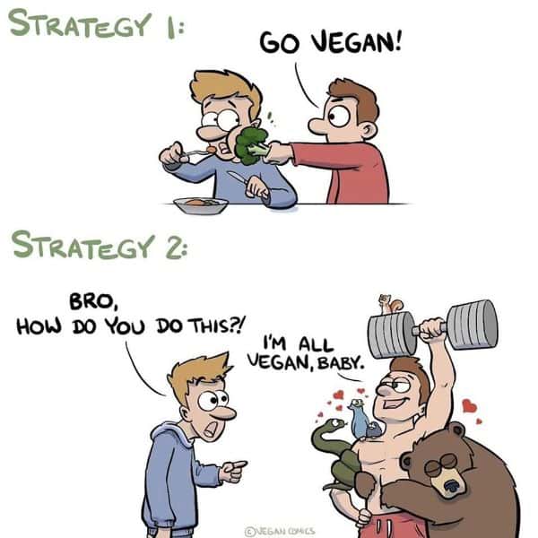 Inspirational I'm a Vegan Meme Pictures 7