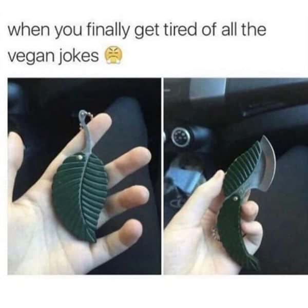 Inspirational I'm a Vegan Meme Pictures 9