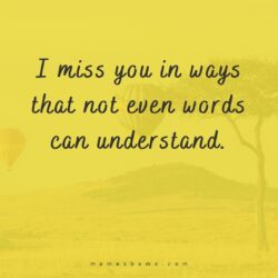 I Miss You Quotes: 80 Cute Missing You Texts for Him and Her