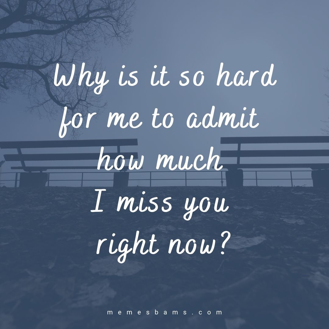 What Does It Mean To Miss Someone Terribly