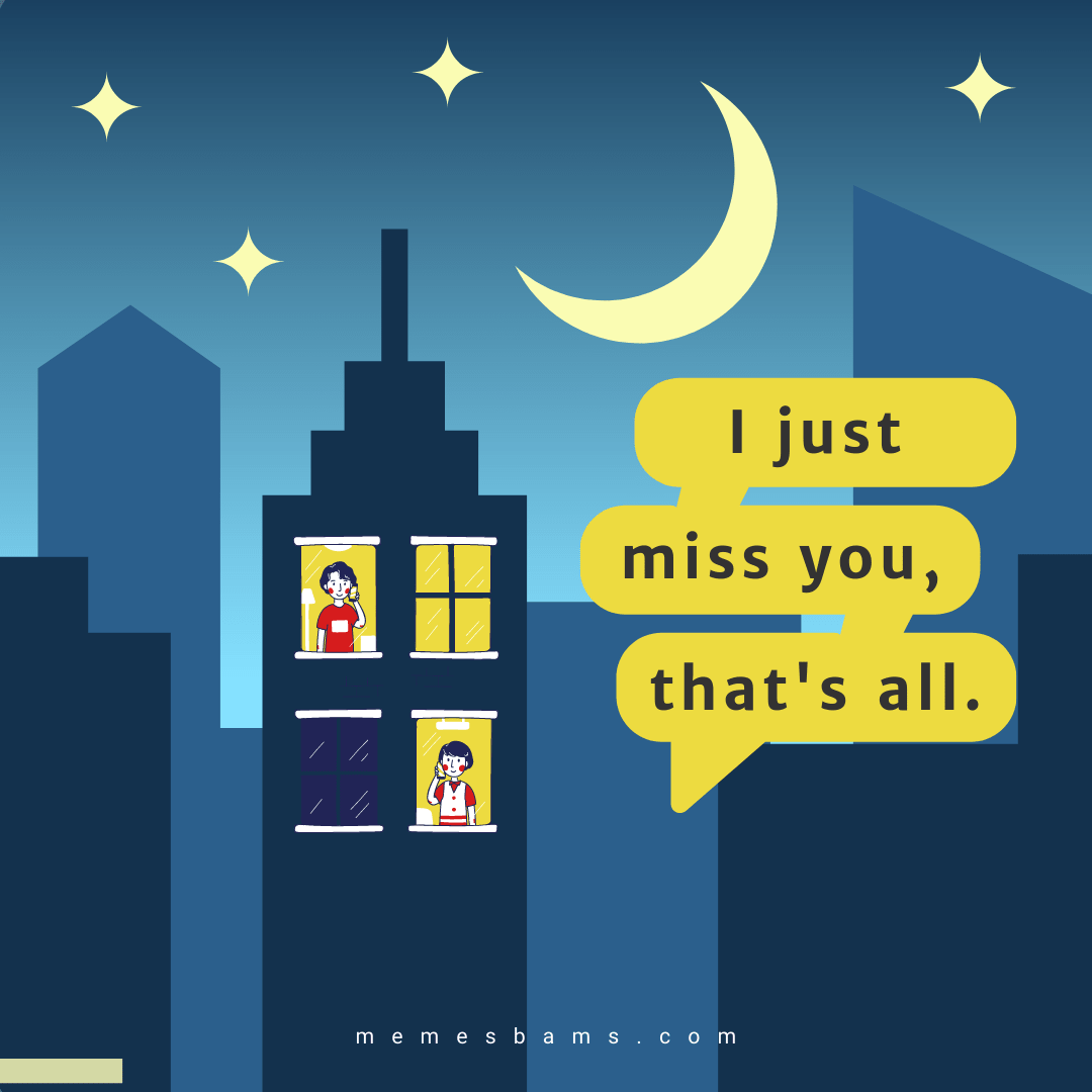 stunning I miss you quotes